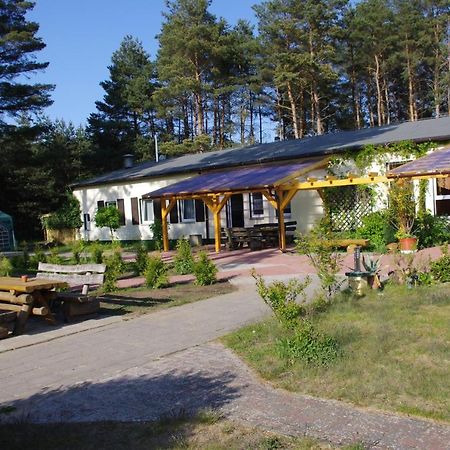 Hostel Waldhaus Am Ferienpark Mirow -Zimmer Du Wc Exterior photo